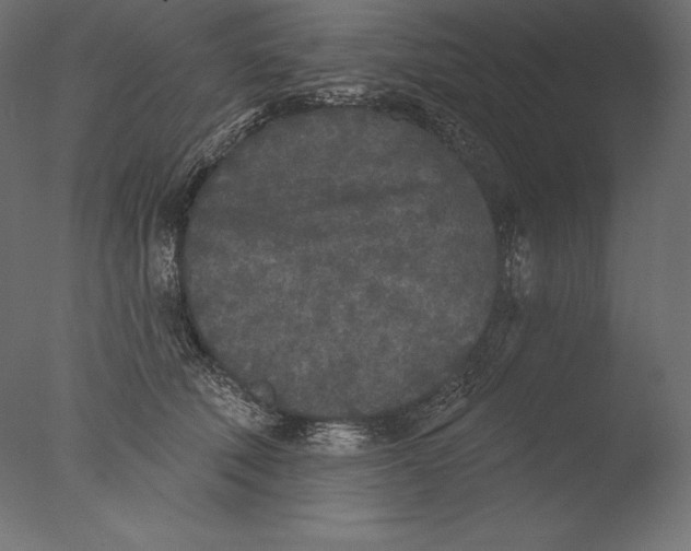 X0000076300610200610201548