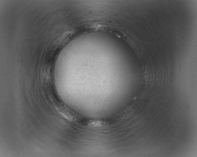 X0000076300611200610201548