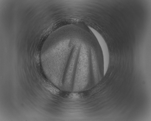 X0000076300613200610201548