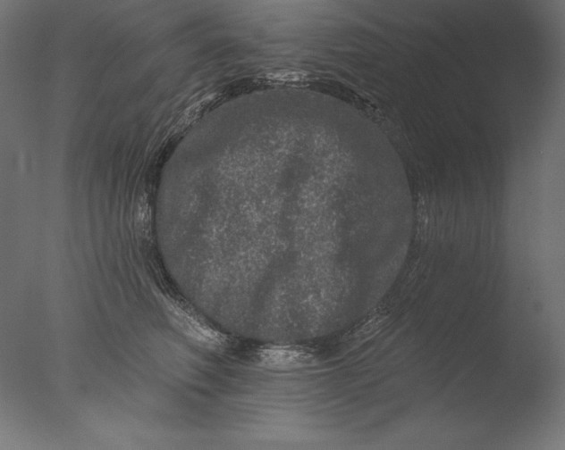 X0000076300614200610201548