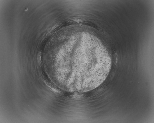 X0000076300615200610201548