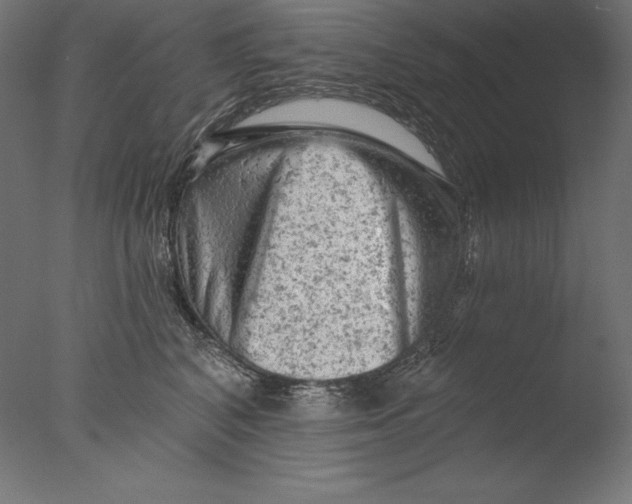 X0000076300616200610201548