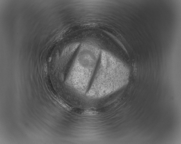 X0000076300617200610201548