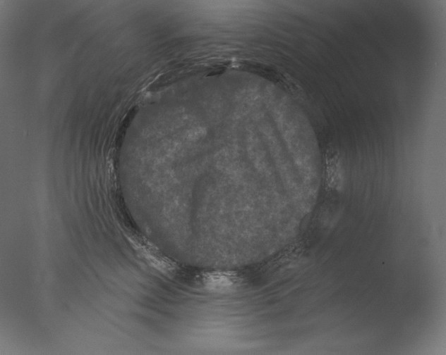 X0000076300618200610201548