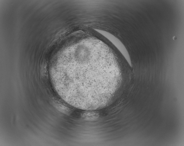 X0000076300619200610201548