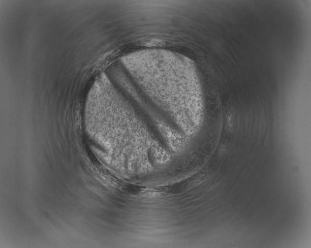 X0000076300620200610201548