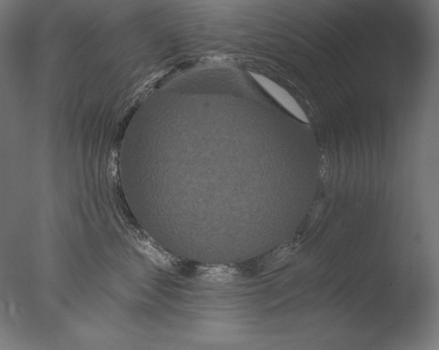 X0000076300621200610201548