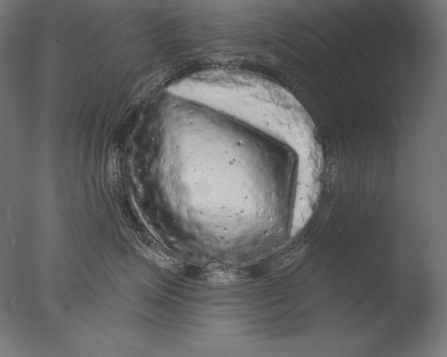 X0000076300623200610201548