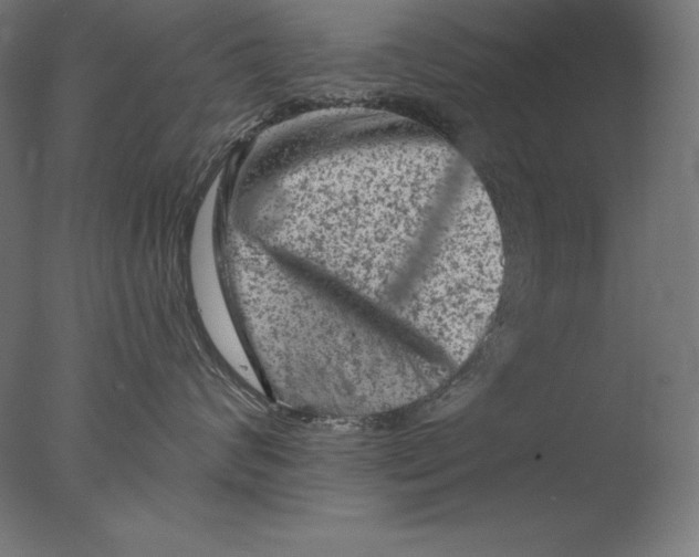 X0000076300624200610201548