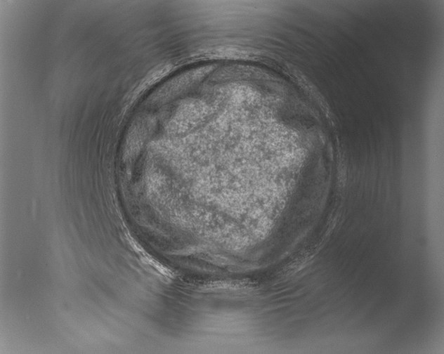 X0000076300625200610201547