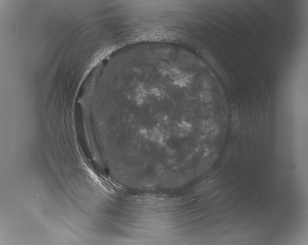 X0000076300626200610201547