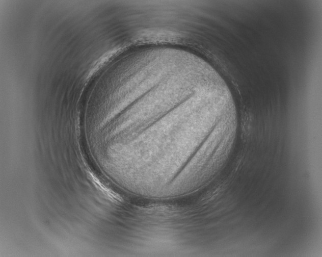 X0000076300629200610201547