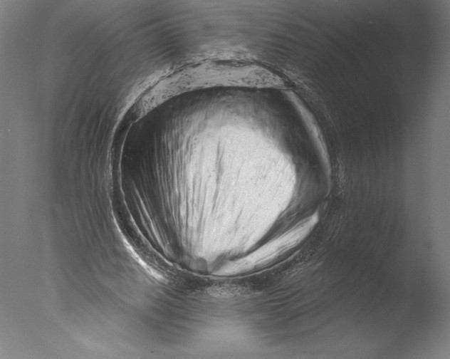 X0000076300630200610201547