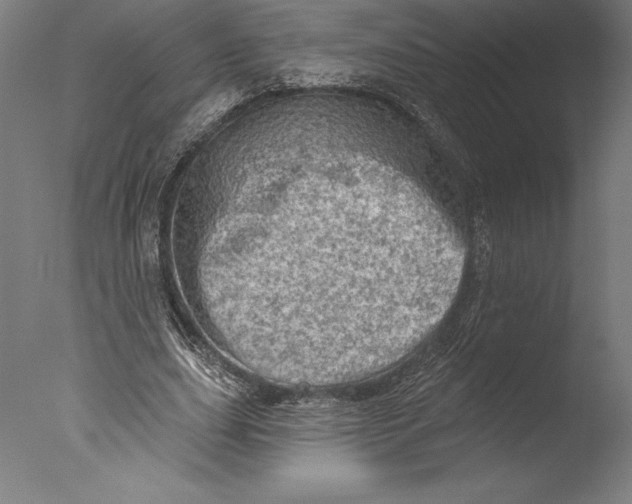 X0000076300631200610201547