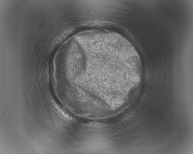 X0000076300633200610201547