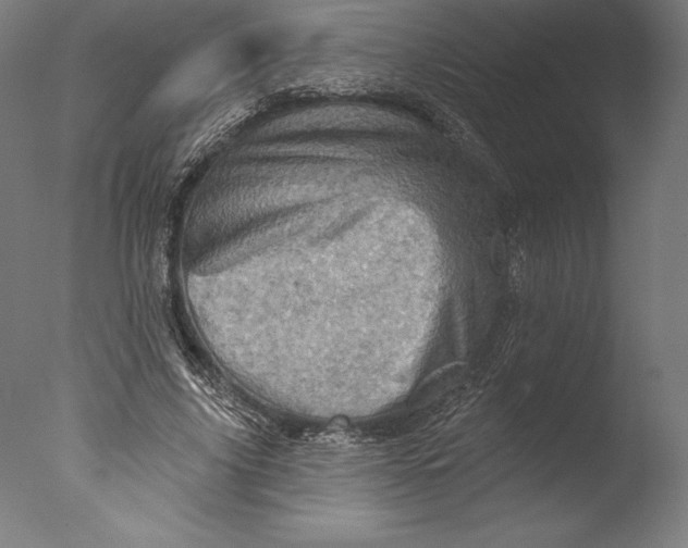 X0000076300635200610201547