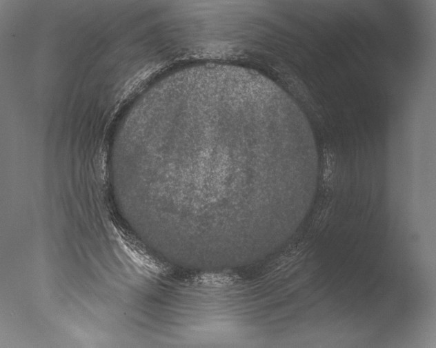 X0000076300636200610201547