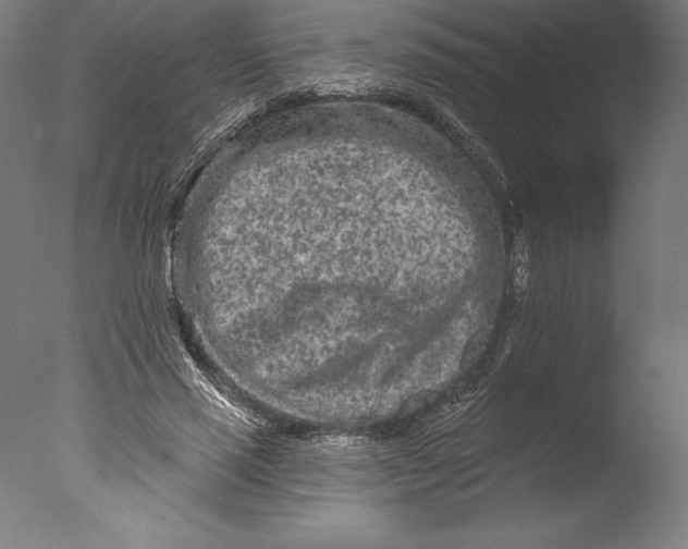 X0000076300637200610201547