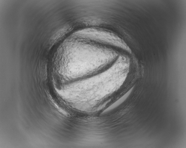 X0000076300638200610201547