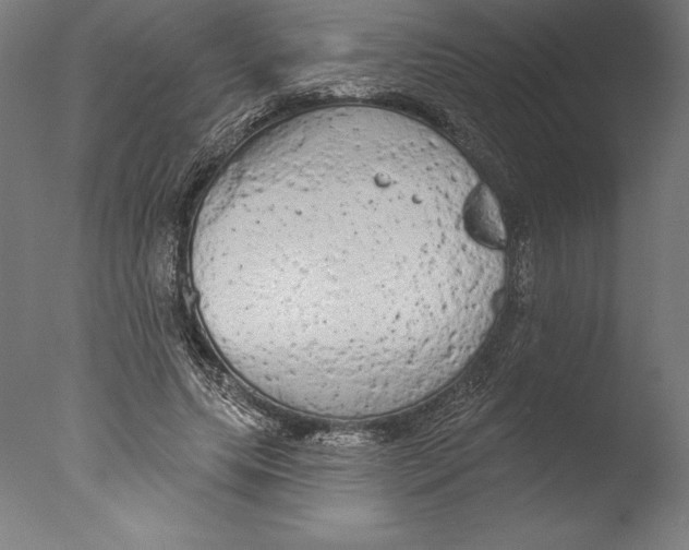 X0000076300639200610201547