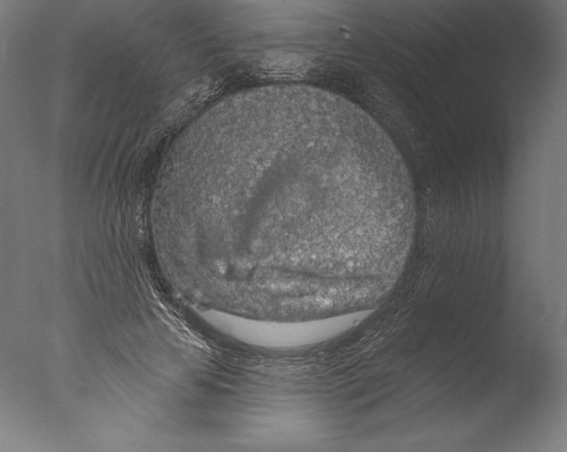 X0000076300641200610201547