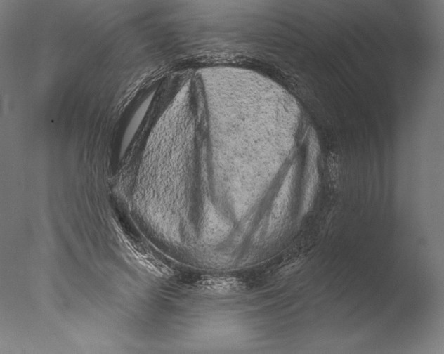 X0000076300642200610201547