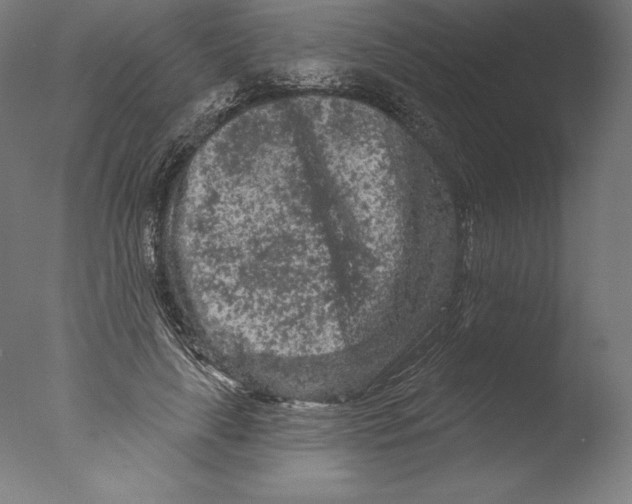 X0000076300643200610201547