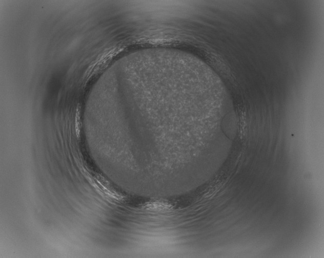 X0000076300644200610201547