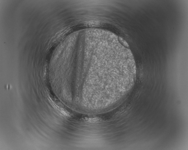 X0000076300645200610201547