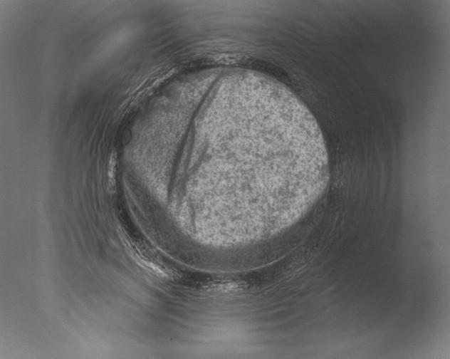 X0000076300646200610201548