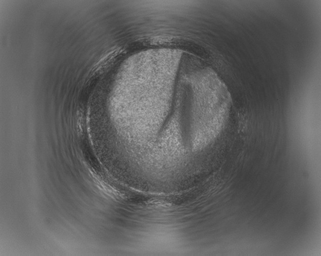 X0000076300648200610201548