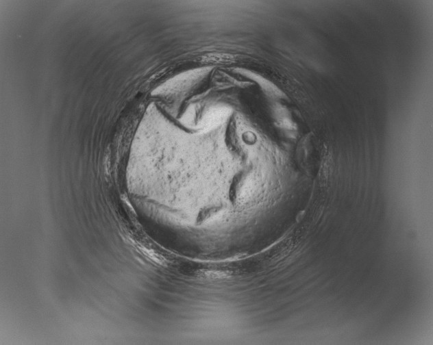 X0000076300649200610201548