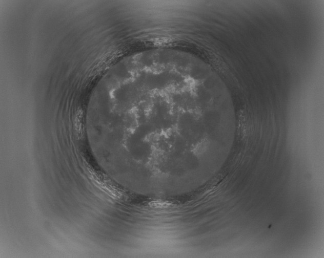 X0000076300650200610201548