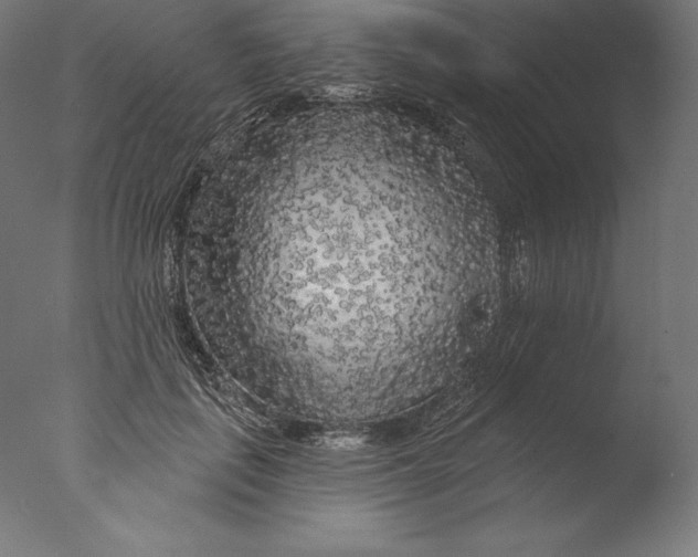 X0000076300651200610201548