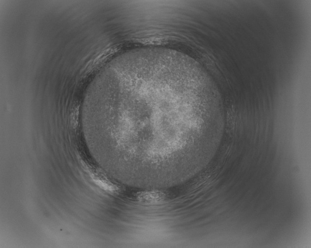 X0000076300652200610201548