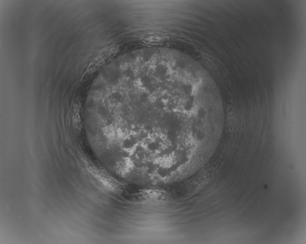 X0000076300654200610201548