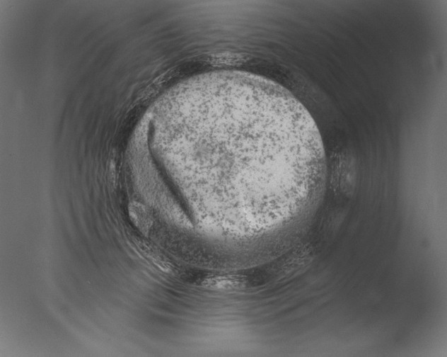 X0000076300655200610201548