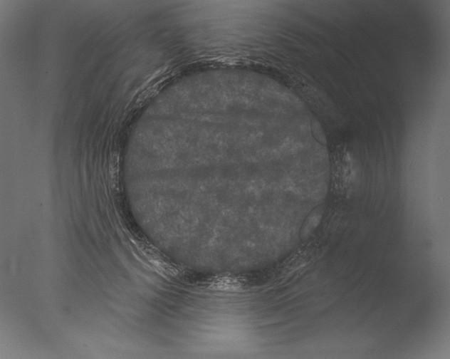 X0000076300656200610201548