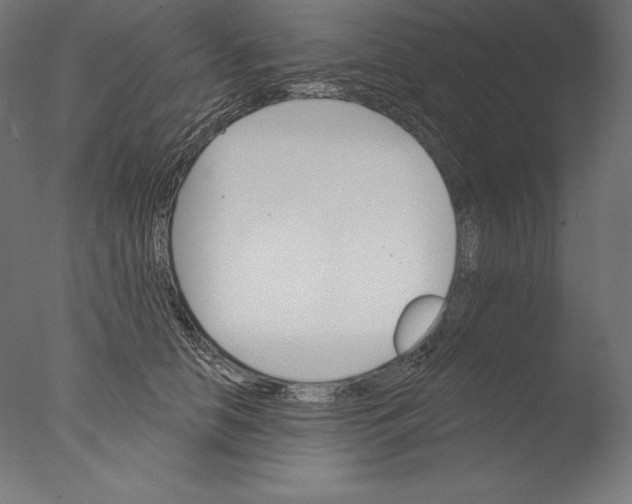 X0000076300658200610201548