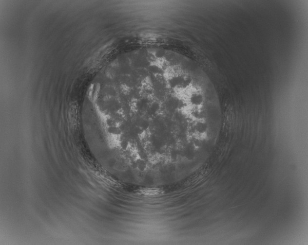 X0000076300659200610201548