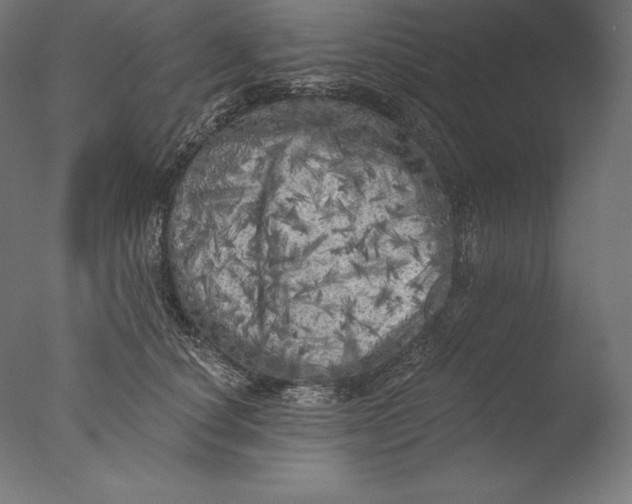 X0000076300660200610201548