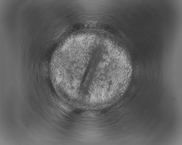 X0000076300661200610201548