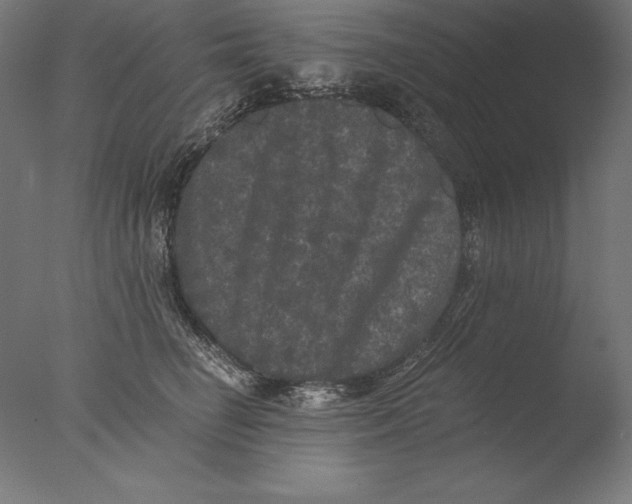 X0000076300662200610201548