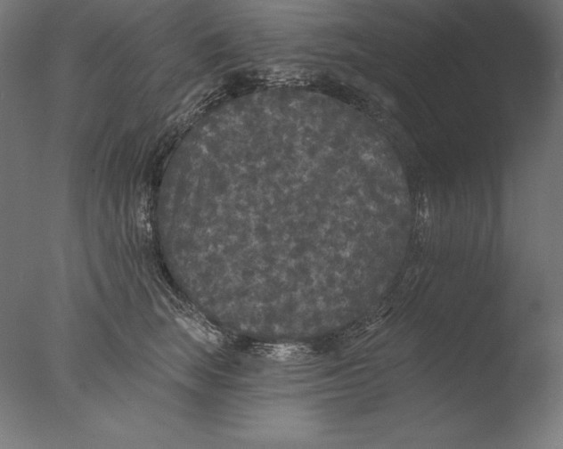 X0000076300663200610201548