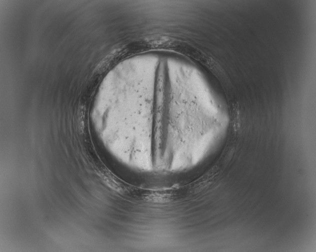 X0000076300664200610201548