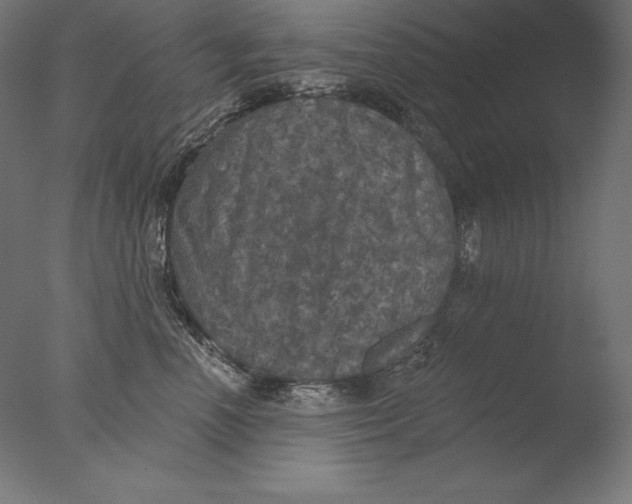 X0000076300666200610201548