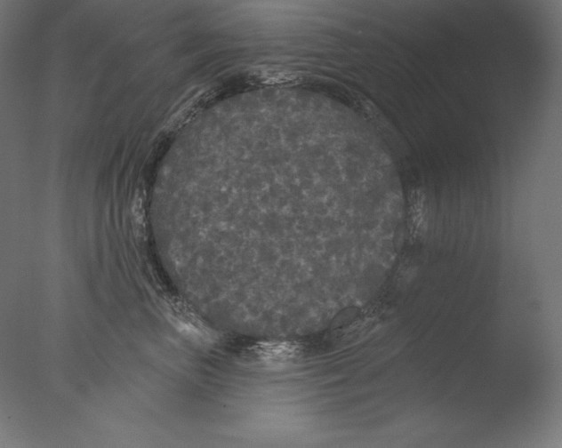 X0000076300667200610201548