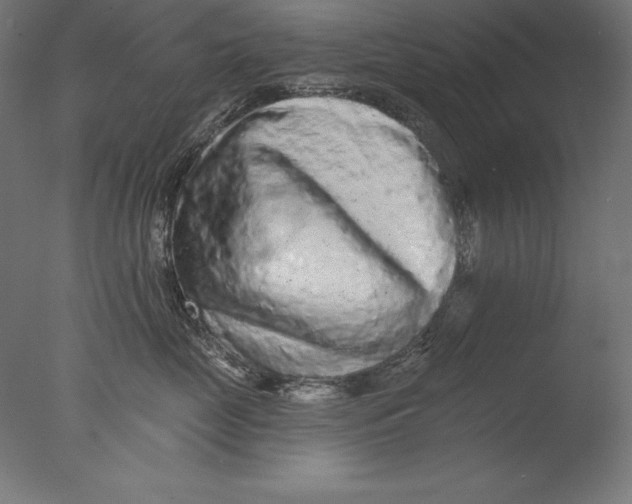 X0000076300669200610201548