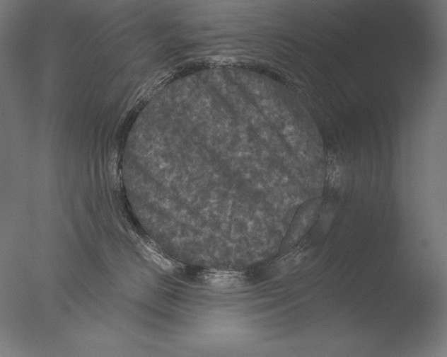 X0000076300670200610201548