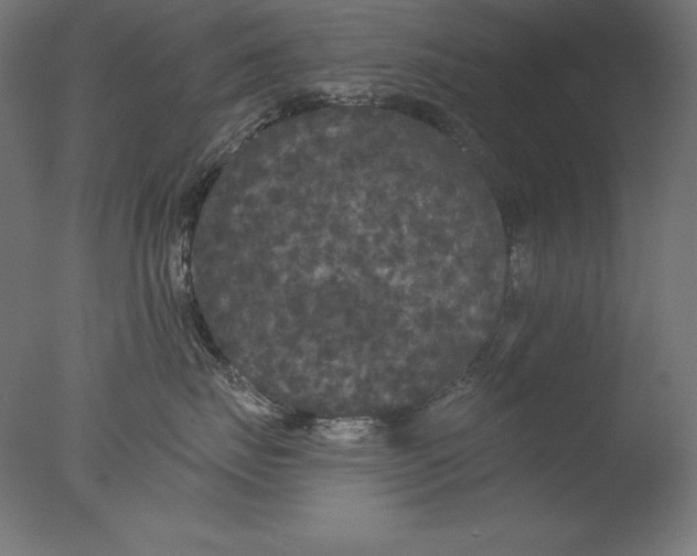 X0000076300671200610201548